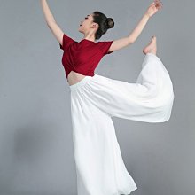 漫舞精靈 現貨專業韻律體操彩帶 符合FIG國際比賽標準 六米三色 歷史價格詳細信息