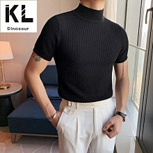 韓版緊身簡約polo衫短袖男 M-3XL 素色2024翻領針織衫 日系痞帥素色百搭冰絲針織上衣-22號穿搭 歷史價格詳細信息