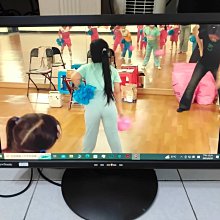 優派 三隻鳥 ViewSonic va2413wm 24吋液晶顯示器螢幕 油畫泛白 當零件機 H 歷史價格詳細信息