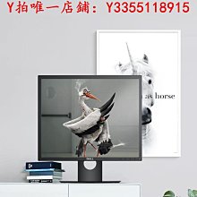 顯示器p1917s顯示屏19寸臺式電腦螢幕升降旋轉ips正屏 歷史價格詳細信息