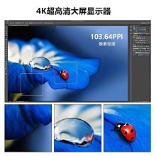 螢幕飛利浦43英寸電腦顯示器4K高清升降底座壁掛Type-c內置音箱439P1 歷史價格詳細信息
