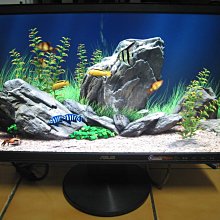 ASUS VW227D 22吋 拆機良品 【面交價：內洽 】 歷史價格詳細信息