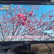 BENQ GL2450-T 24吋LED液晶螢幕 支援(VGA~DVI-HDMI)二手良品 價格比較,價格查詢,歷史價格詳細信息