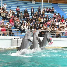 【悠遊網內湖店】假日不加價! 馬武督統一渡假村雙人套餐餐券(午餐或晚餐)特惠價只要 850元 歷史價格詳細信息