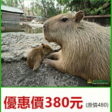 【展覽優惠券】月眉麗寶探索樂園/奔夏狂野馬拉灣 平假日都適用  水陸票二擇一 歷史價格詳細信息