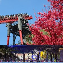 寶升可多頻點頭戴式耳機紅外線可調頻考試耳機四六級聽力考試耳機 歷史價格詳細信息