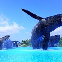 墾丁海藻圖鑑﹝軟精裝﹞ 墾丁國家公園管理處 五南文化廣場 政府出版品 歷史價格詳細信息