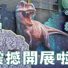 高雄 莊頭北 TG-7230 純銅嵌入爐 ☆ 瓦斯爐 實體店面 可刷卡 送基本安裝【KW廚房世界】 歷史價格詳細信息