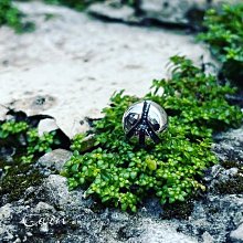 和平符號 法蒂瑪之手 邪眼 純銀耳環 純銀耳針 純銀墜子 法式耳勾【La luna銀飾豐華】 歷史價格詳細信息