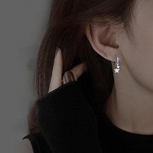 帝豐s999足銀蝴蝶耳釘女2022年新款潮夏耳環輕奢小眾設計耳飾禮物 歷史價格詳細信息