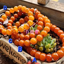 9-26 9-19型高壓離心風機工業高壓風機物料輸送通風排塵風機 歷史價格詳細信息