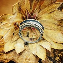 【Silver Monsters】日本Superbia 暗系古典狂潮 神視 “Videre” 手作噴砂舊化 雕花戒指 歷史價格詳細信息