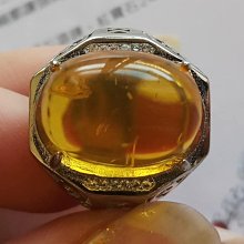 頂級黃金野生烏魚子3.2兩±0.1 手工日曬 保證好吃 年節美食伴手禮/烏魚子禮盒 歷史價格詳細信息