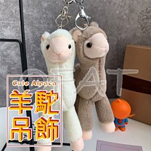 羊絨吊帶背心女內搭美背文胸壹體加絨加厚保暖內打底帶胸墊秋冬 歷史價格詳細信息