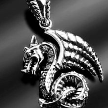 【創銀坊】魔獸 龍爪 925純銀 戒指 刺青 紋身 異形 蠍子 哈雷 騎士 龐克 火焰 克羅心 龍 戒子(R-8803) 歷史價格詳細信息