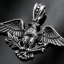 【創銀坊】皇家聖百合 925純銀 墜子 鳶尾花 十字架 哈雷 騎士 克羅心 龐克 搖滾 重機 鷹 項鍊(P-11809) 歷史價格詳細信息