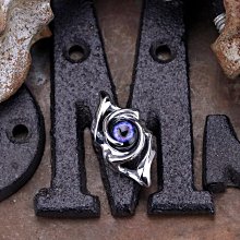 【Silver Monsters】幻獸異骸 日本殿堂級Strange Freak Designs 徽紋盲獸 骷髏戒指 歷史價格詳細信息