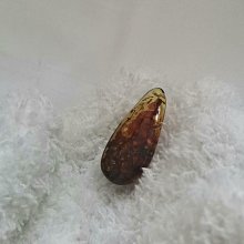 天然蟲珀吊墜（閒魚優品）天然波羅的海蟲珀掛件，重6.1克，兩只飛蟲，清晰完整。可免費打孔，贈掛件繩。本品經閒魚優品驗貨，一物一證，真品保證， 歷史價格詳細信息