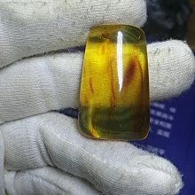 收藏琥珀金珀蟲珀隨型吊墜，全新沒有佩戴。規格27×18.8 -625 歷史價格詳細信息