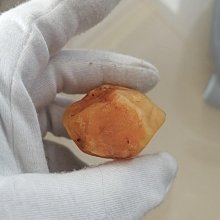 原味料理海鹽500g/包 歷史價格詳細信息