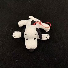 (二手)日本環球影城Tim熊熊髮箍/頭飾/頭帶 歷史價格詳細信息