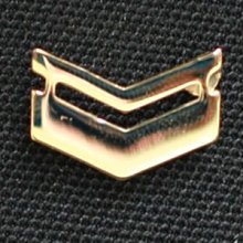 鞋大王 2.6×1.4㎝金色中校鋁質帽徽(一組兩個)【台灣製】101-47 歷史價格詳細信息