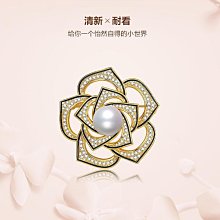 高檔胸女配飾奢華氣質韓版大氣閃鉆黑色四葉草別時尚百搭胸花~告白氣球 歷史價格詳細信息