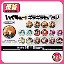 【小洛】PROOF 排球少年 可立方形吧唧徽章 日向翔陽 及川徹赤葦京治 周邊 歷史價格詳細信息