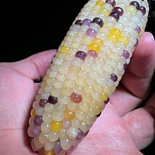 小玉米花 寶寶玉米花 兔子花園 空調毯 毛毯 歷史價格詳細信息