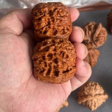 回血！替友出！尼泊爾鳳眼菩提老串尺寸精卡9.5！這么小的尺寸99 歷史價格詳細信息