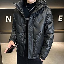 現貨【羽澄小舖】日本 雪初音 雙款圍巾 cos cosplay 北海道2016 黏土人 初音 手套外套 VOCALOID 歷史價格詳細信息