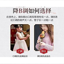 【樂樂生活精品】《C&B》伊塔設計家工業風曲木家居椅餐椅(二張) 免運費! (請看關於我) 歷史價格詳細信息