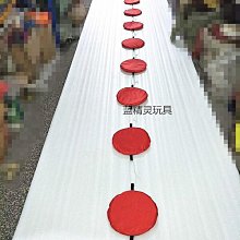 感覺統合訓練教具瑜伽球兒童大龍球器材家用防爆健身球寶寶按摩平 歷史價格詳細信息