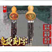 初學葫蘆絲c調小學生樂器旗艦店初學者降b調入門級防摔雙音葫蘆絲 歷史價格詳細信息