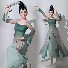 古典舞舞蹈服練功服身韻飄逸紗衣上衣長款中國舞演出服大擺裙套裝 歷史價格詳細信息