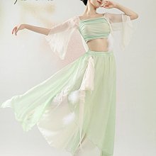 飄逸舞裙 古典舞衣 舞蹈旗袍 現代舞表演服 舞服練功服 【FP1511】 古典舞旗袍身韻印花緊身網紗練功服中國風表演服舞 歷史價格詳細信息