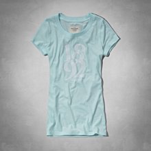 Abercrombie & Fitch 短袖T恤 124-236-1717-200 全新真品  AF 大麋鹿LOGO 歷史價格詳細信息