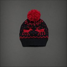 美國Abercrombie & Fitch 帽T 歷史價格詳細信息