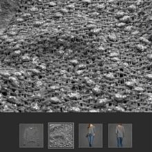 美國abercrombie girls af kids 櫃14號 Maddy 淺色破破刷純棉牛仔褲含運在台現貨 歷史價格詳細信息