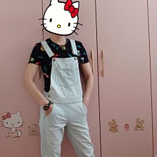 Hollister 牛仔布藍色長袖襯衫,尺寸M,純棉,肩寬46cm肩寬58cm,少穿降價大出清 歷史價格詳細信息