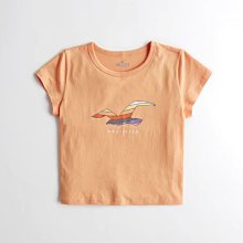 Hollister 女生 薄款彈性貼身長袖t恤 人造絲 淡藍色 海鷗 HCO BUYSOME I042 歷史價格詳細信息