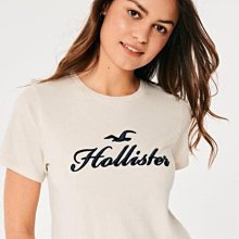 Hollister Logo Tee 酒紅 黑白 深藍 雪花灰 雪花藍 刺繡 基本款 素Tee 男款 海鷗 DOT聚點 歷史價格詳細信息