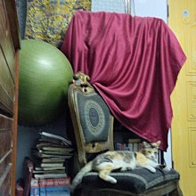 Burberry 外套 棒球外套 夾克 早春兔????台灣冬天超合適，年限定新品！拼皮袖，可愛的BT標識刺繡兔子 歷史價格詳細信息