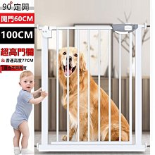 安全可靠升級款加厚防雨布帆布防水篷布三輪車棚布小貨車篷布戶外防曬苫布 歷史價格詳細信息