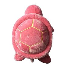 成人海龜護具滑雪護膝滑溜冰滑板平衡車輪滑運動護具 歷史價格詳細信息