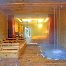 江小彩家用染發膏泡泡彩染黑植物泡泡懶人染發劑蓋白染發 歷史價格詳細信息