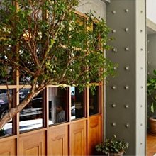 孔廟文物與政治：東亞視野中的臺灣府學文物 歷史價格詳細信息