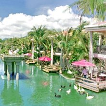 湖湖南衡陽農機校校徽，實物拍攝按圖發貨， 古玩 老物件 舊藏 -6911 歷史價格詳細信息