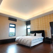 (特價)VIP投 VIP8000 10培林~彤彤釣具~【捲線器】EVO 海力士 歷史價格詳細信息