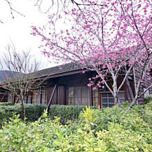 日本近代建筑制造東京(裝2冊)城市建設歷史脈絡 東京的真實 歷史價格詳細信息